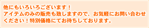 他にもいろいろございます！アイテムのみの販売も致しますので、お気軽にお問い合わせください！特別価格にてお待ちしております。